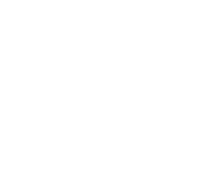 Rudiam Logo
